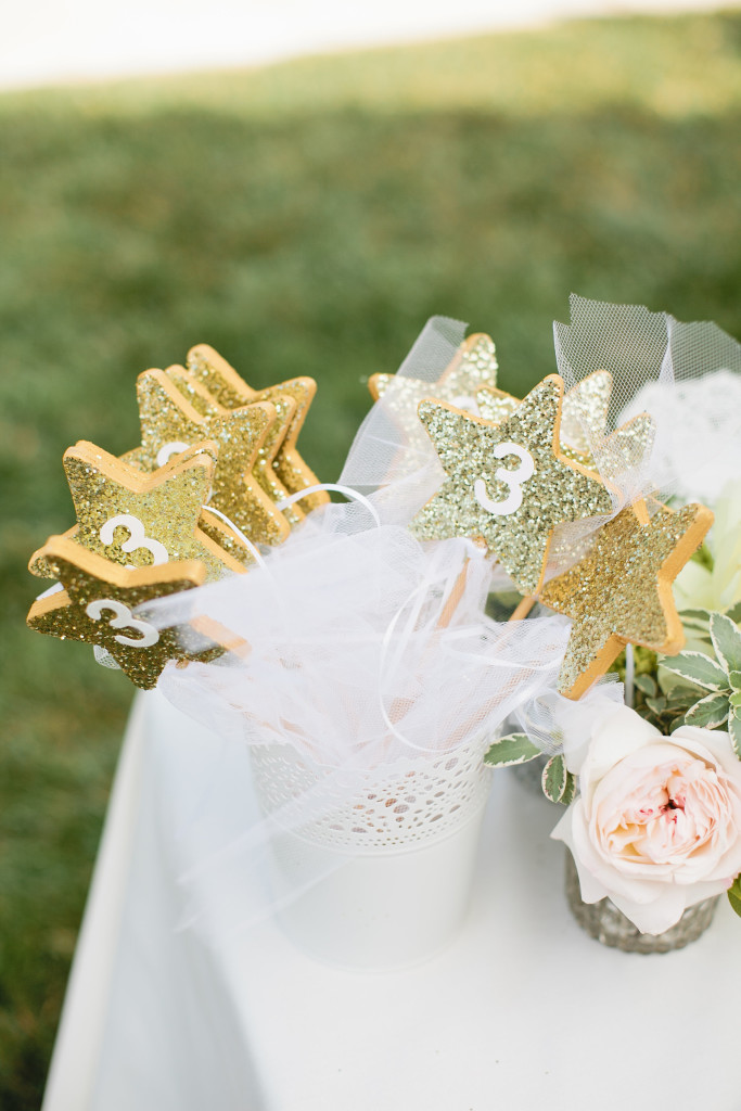 meganwelker-Giselle's3rd-214