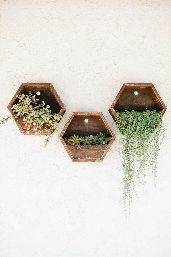 meganwelker-beijos-100