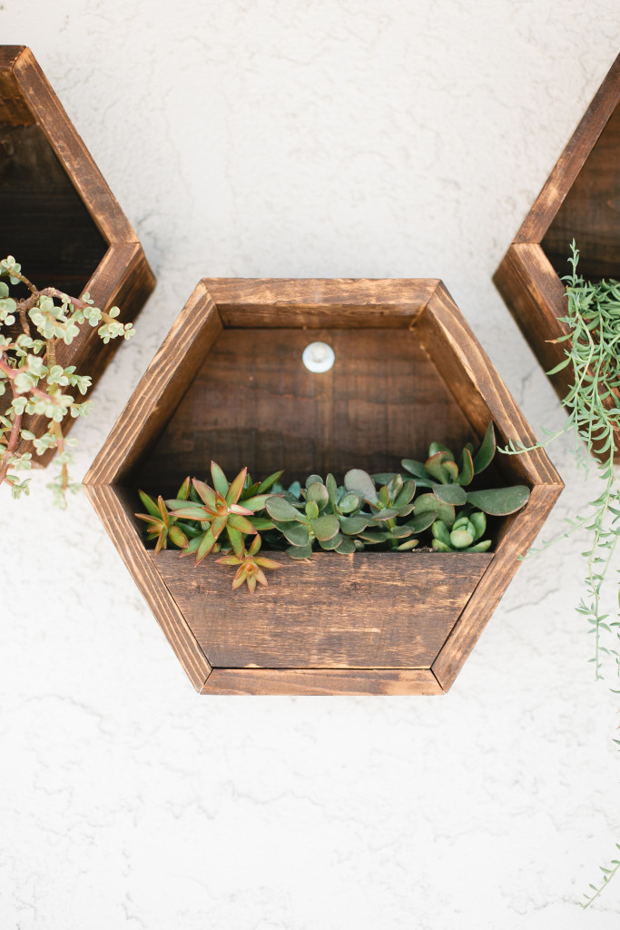 meganwelker-beijos-101