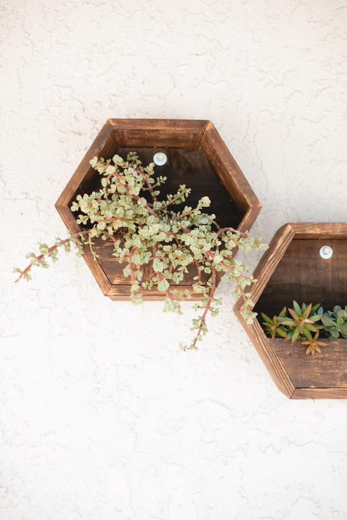 meganwelker-beijos-103