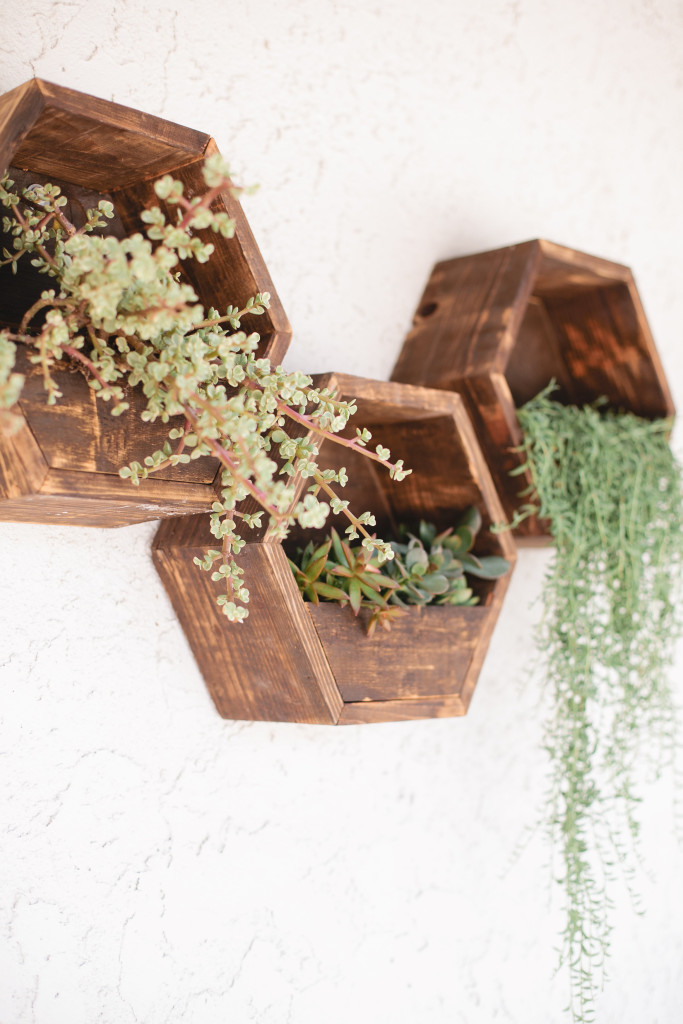 meganwelker-beijos-104