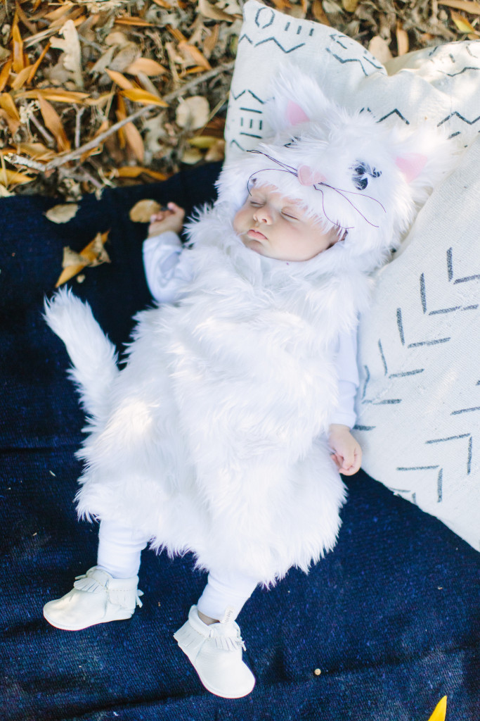 0082_Halloween_Potterybarn_Beijos