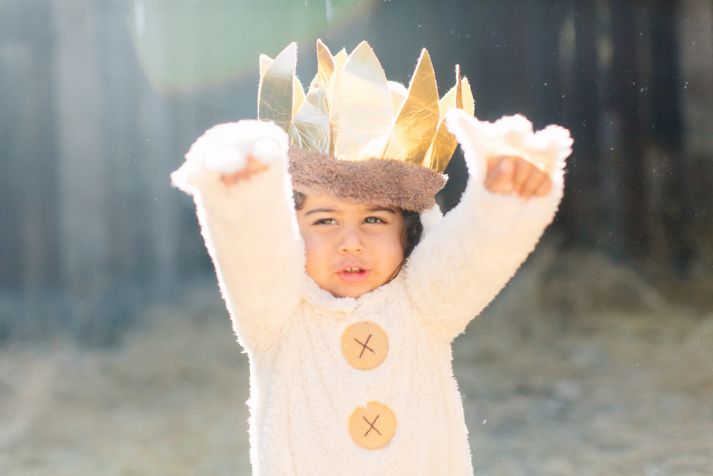 0122_Halloween_Potterybarn_Beijos