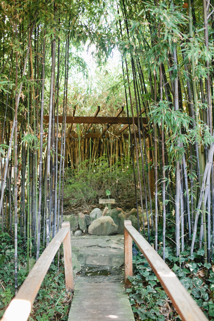 meganwelker-beijos-ojai-295