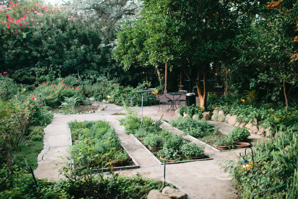 meganwelker-beijos-ojai-334