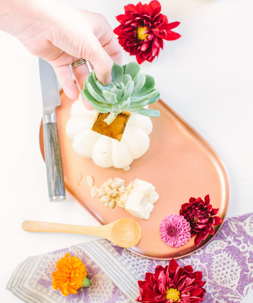 yasminsarai-beijos-pumpkinplanterdiy-12