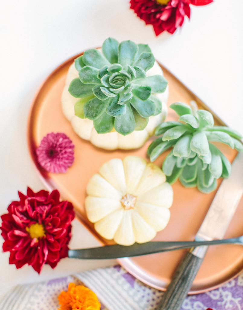 yasminsarai-beijos-pumpkinplanterdiy-3