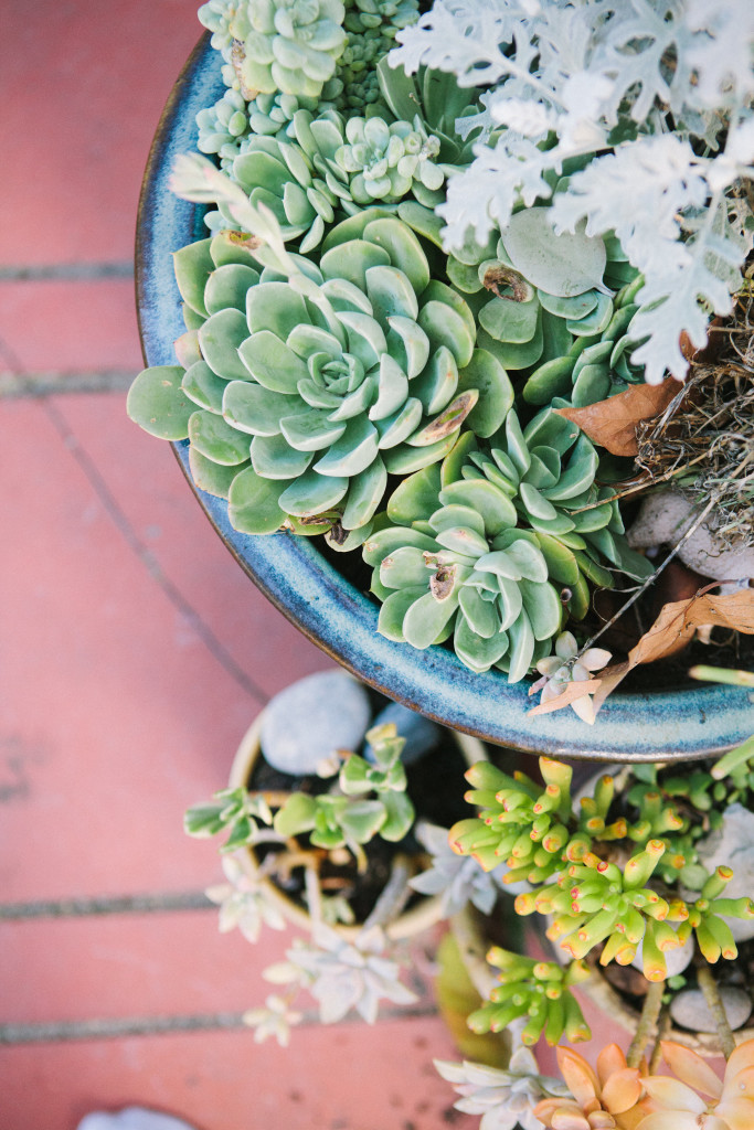 yasminsarai_beijosevents_hometour-megperotti-274