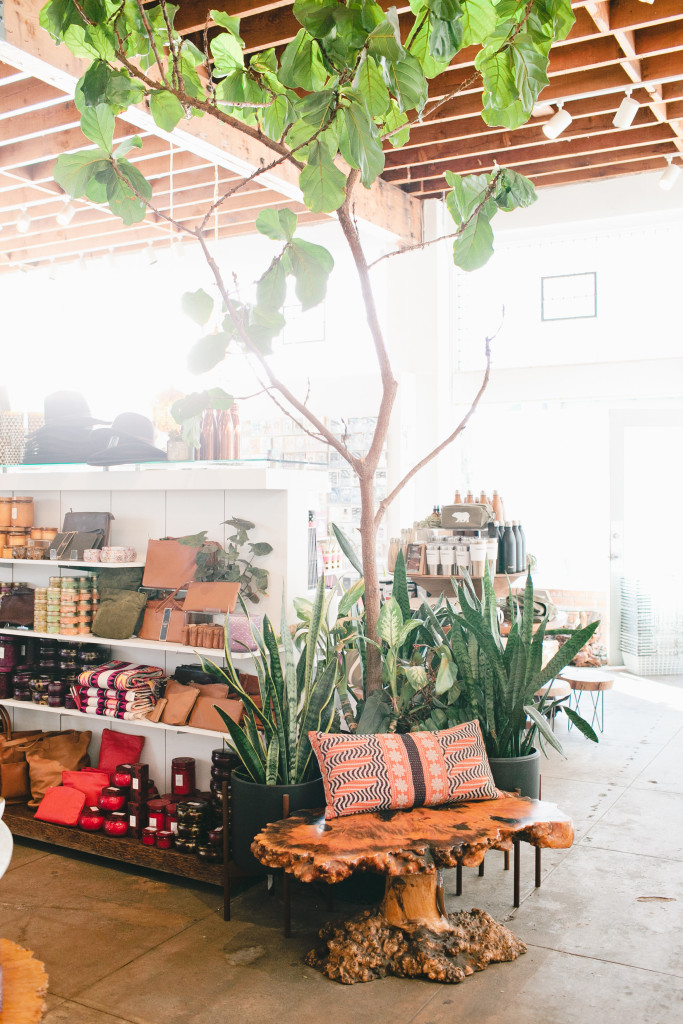 meganwelker-pigment-76