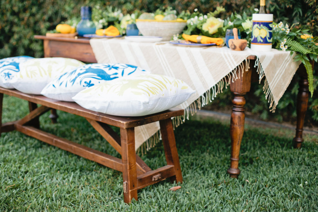 meganwelker-TLMlemons-109