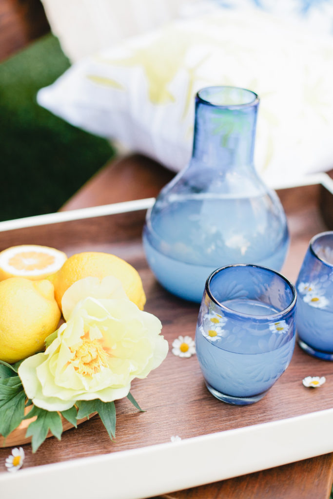 meganwelker-TLMlemons-150