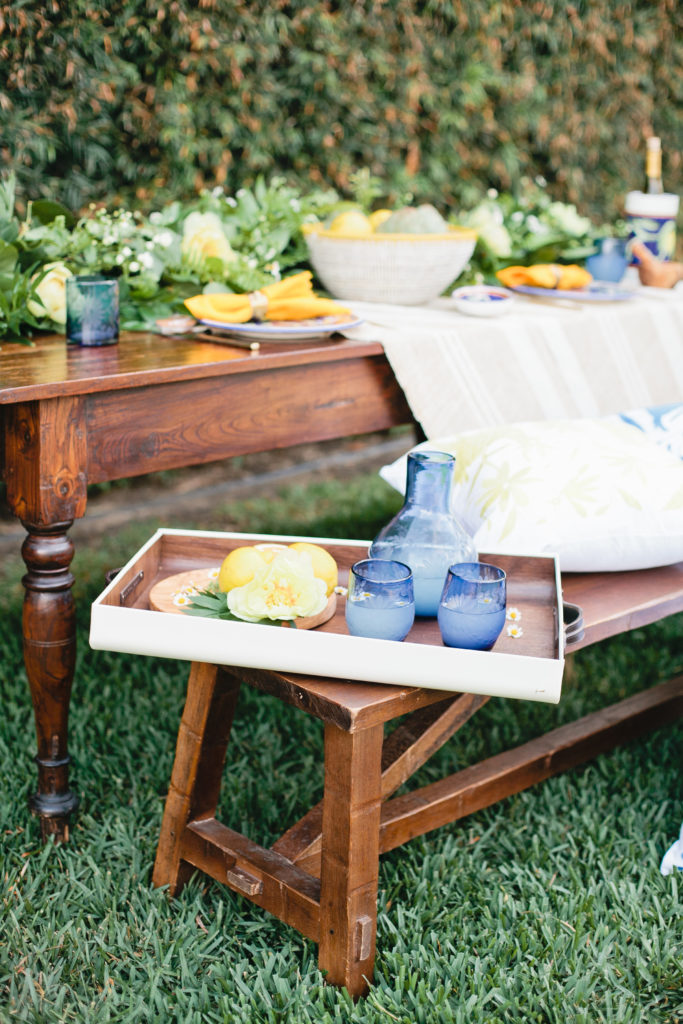 meganwelker-TLMlemons-152