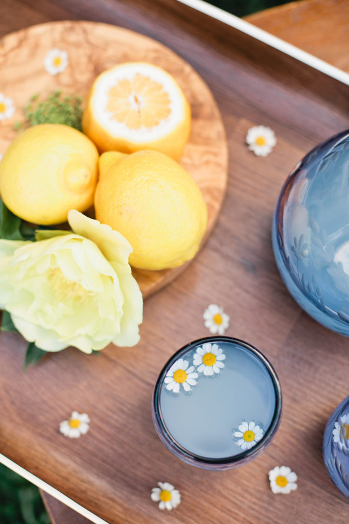 meganwelker-TLMlemons-155