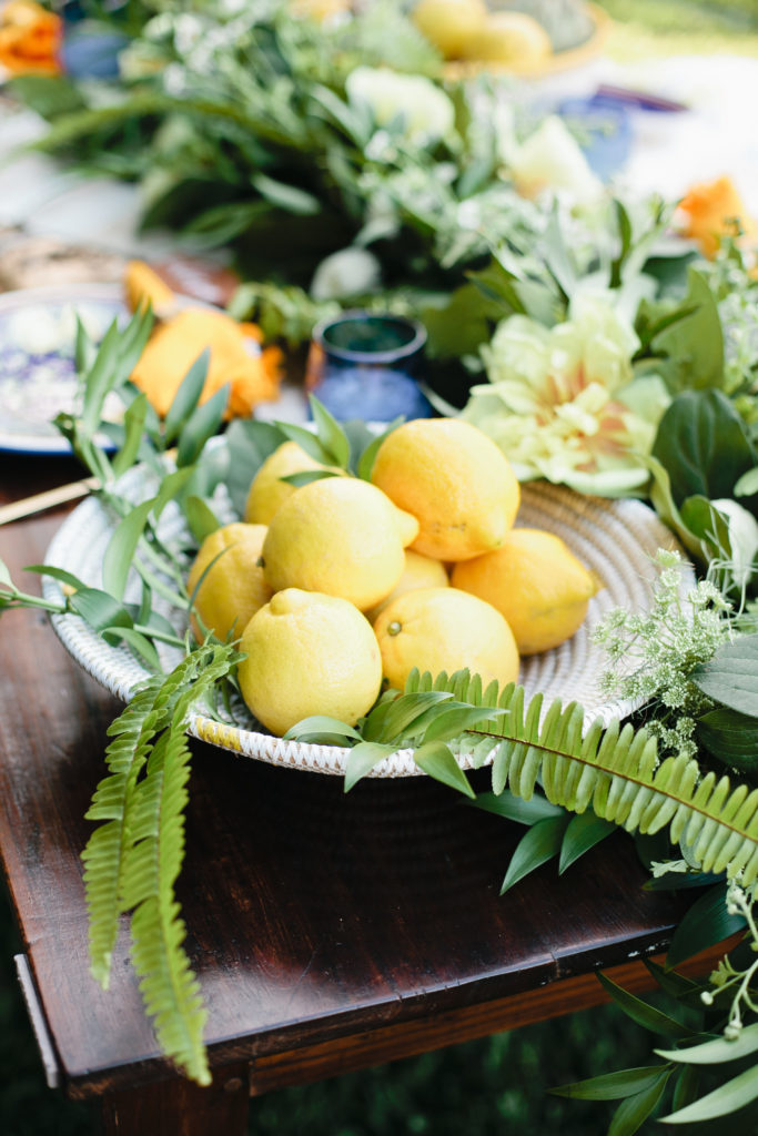 meganwelker-TLMlemons-59