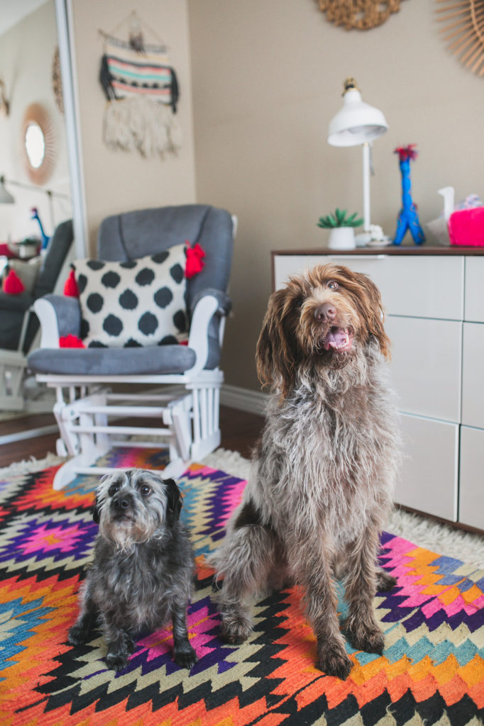 st-evejewelryhometour-207