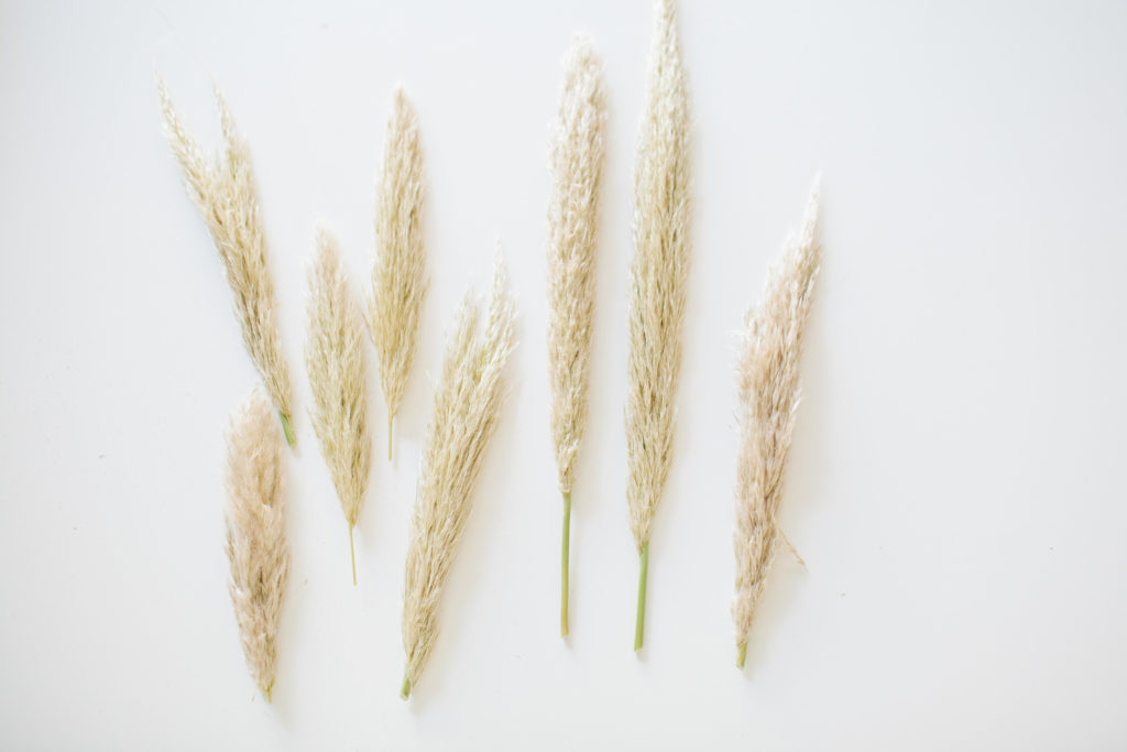 meganwelker-sept8-42