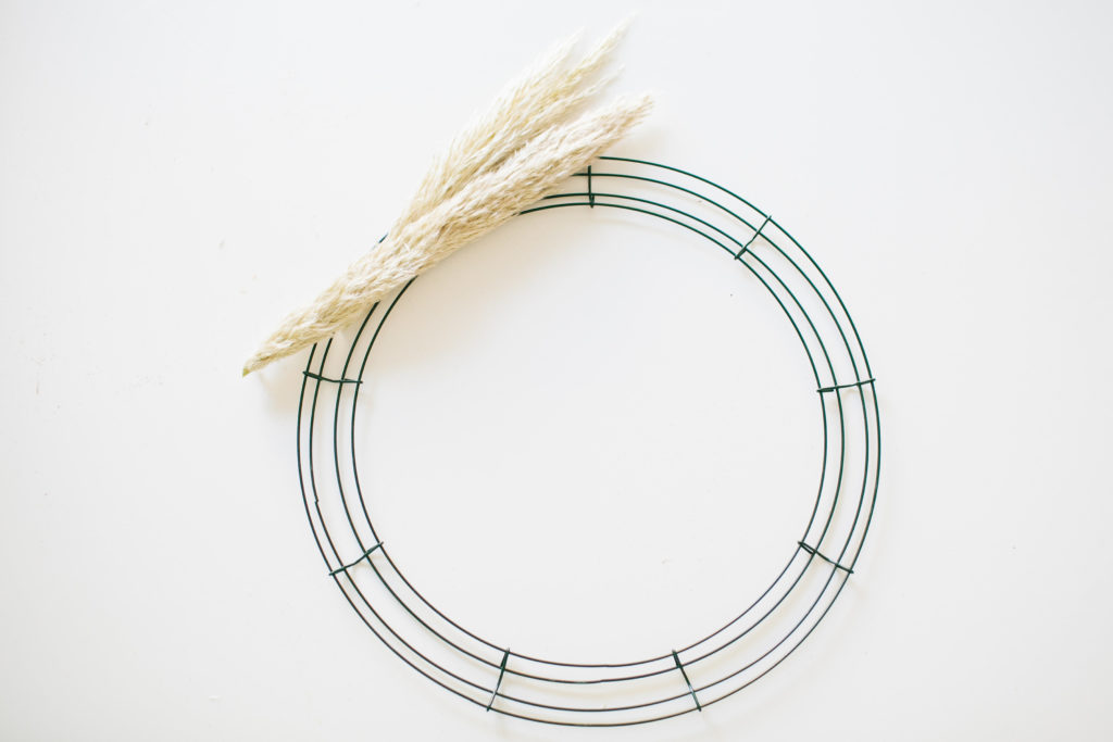 meganwelker-sept8-43