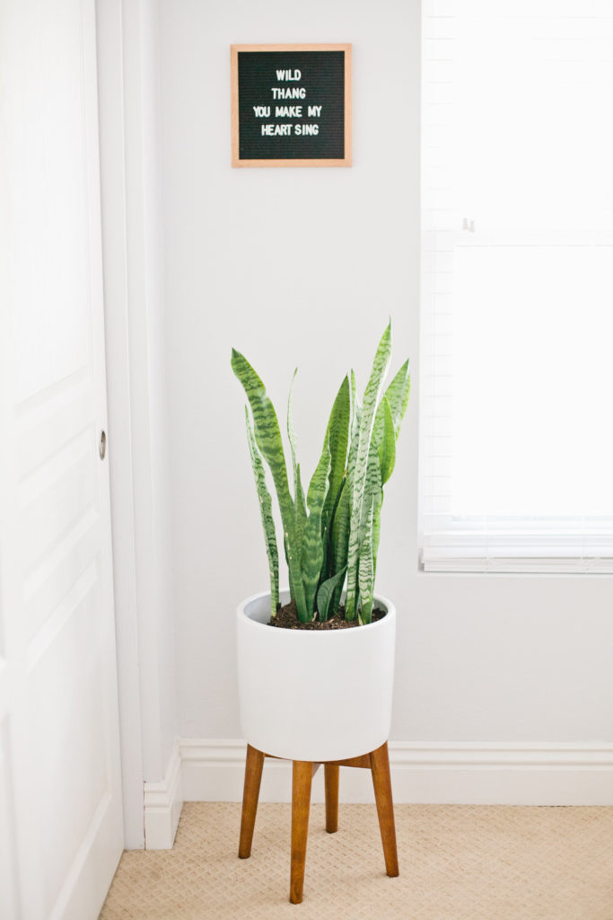 meganwelker-carriger-314